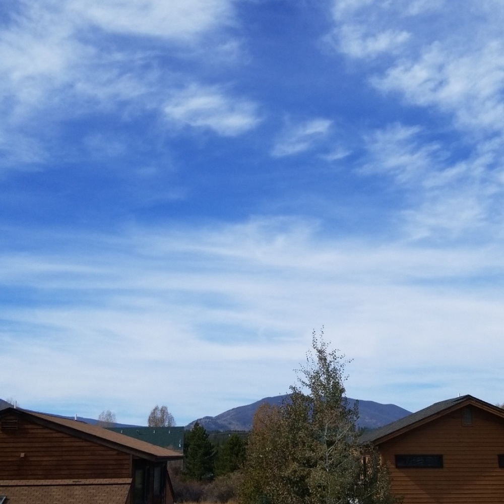 Meet your Posher, Bruce